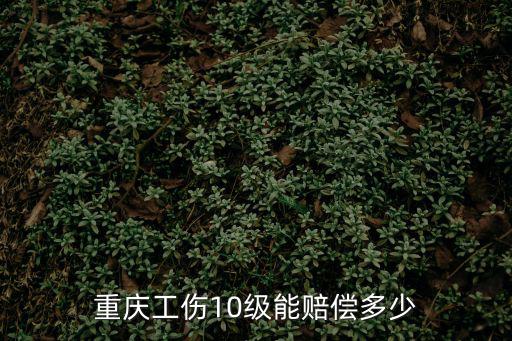 重慶工傷10級能賠償多少