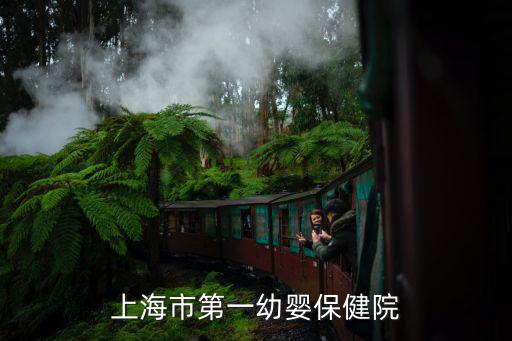 上海市第一幼嬰保健院