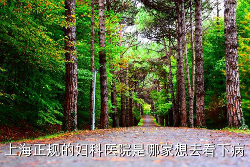上海正規(guī)的婦科醫(yī)院是哪家想去看下病