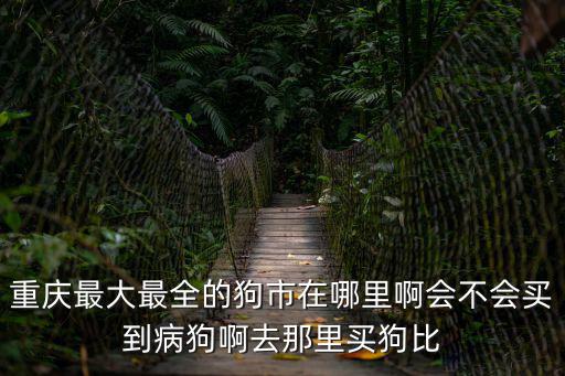 重慶最大最全的狗市在哪里啊會不會買到病狗啊去那里買狗比