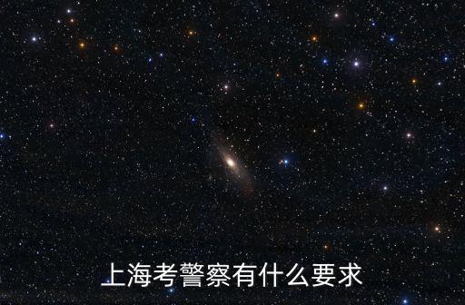 上海考警察有什么要求