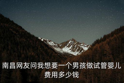 南昌網(wǎng)友問我想要一個男孩做試管嬰兒費用多少錢