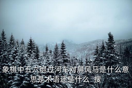 中炮對屏風馬，中炮對屏風馬