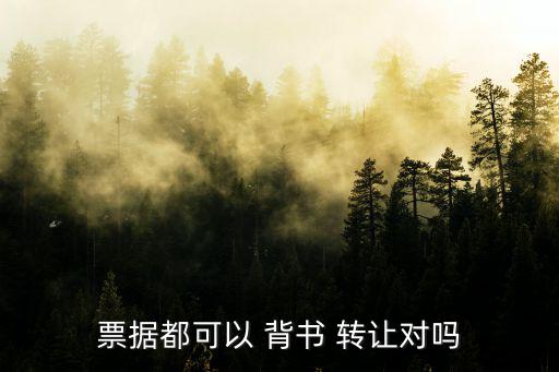 票據(jù)都可以 背書 轉(zhuǎn)讓對(duì)嗎