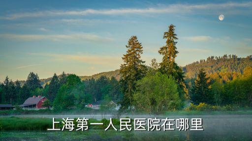 上海第一人民醫院在哪里