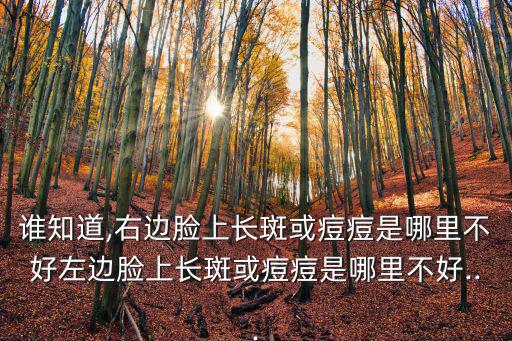 誰知道,右邊臉上長斑或痘痘是哪里不好左邊臉上長斑或痘痘是哪里不好...