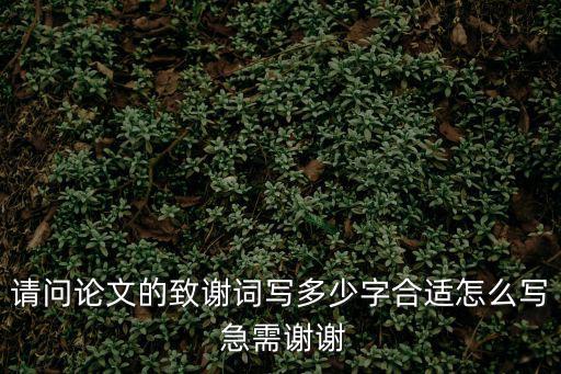 博士論文致謝，論文得致謝怎么寫
