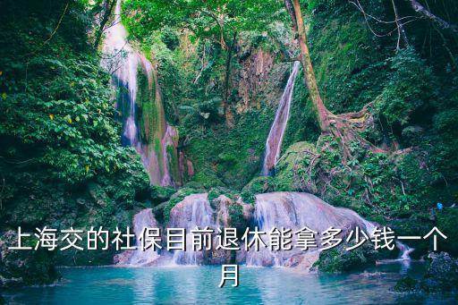 上海交的社保目前退休能拿多少錢一個(gè)月