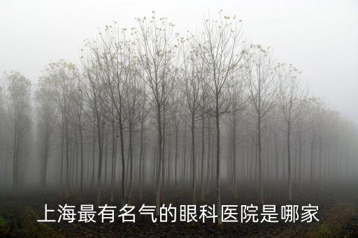上海比較有名的眼科醫(yī)院，上海最有名氣的眼科醫(yī)院是哪家