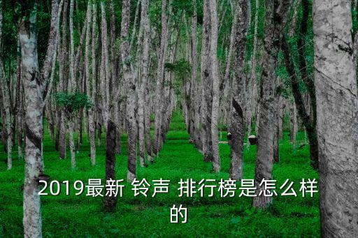 2019最新 鈴聲 排行榜是怎么樣的