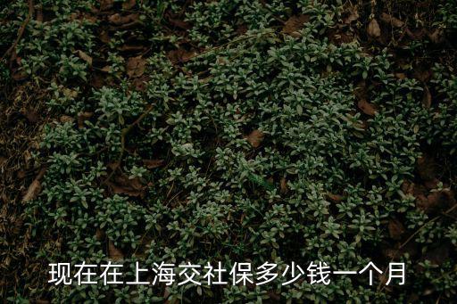上海社保一個月多少錢，上海交的社保目前退休能拿多少錢一個月