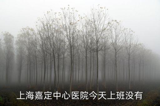 上海嘉定中心醫院今天上班沒有