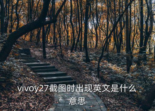 截屏英文，屏幕截圖 用英語怎么說