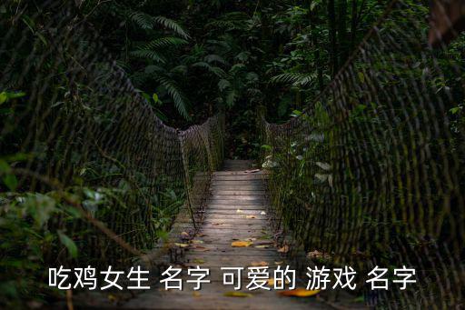 吃雞女生 名字 可愛的 游戲 名字