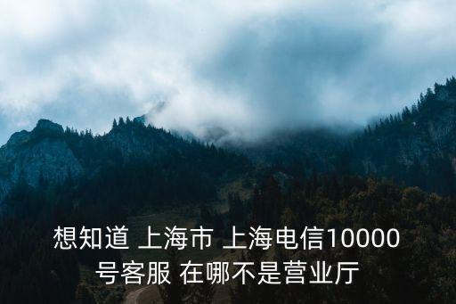 想知道 上海市 上海電信10000號客服 在哪不是營業廳