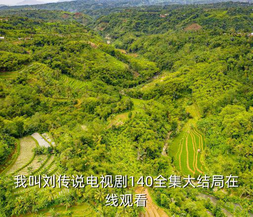 我叫劉傳說電視劇140全集大結局在線觀看