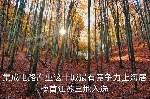 集成電路產業上海市，上海集成電路研發中心是上市公司嗎
