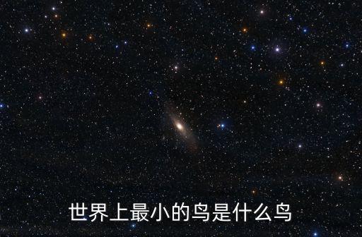 世界上最小的鳥是什么鳥