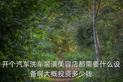 開個汽車洗車裝潢美容店都需要什么設備啊大概投資多少錢