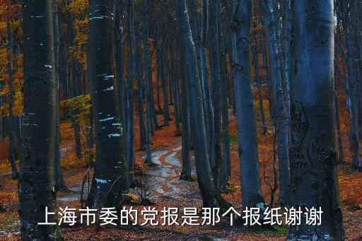 上海市委組織部報社，上海曹安路178號凱策公司