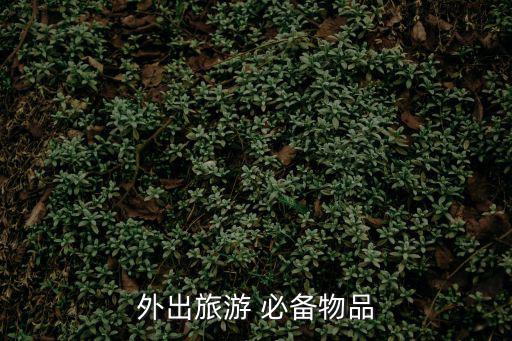 外出旅游 必備物品