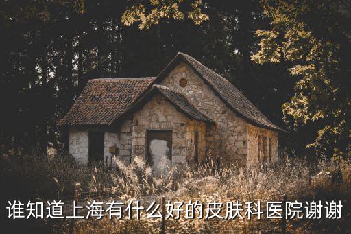 誰知道上海有什么好的皮膚科醫院謝謝