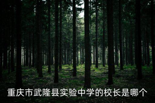 重慶市武隆縣實驗中學的校長是哪個