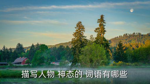 表示神態的詞語,第二集:第二場選區競選廣播（四）
