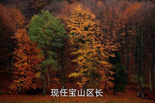 上海市寶山區法院副院長，2015寶執字第0005號是哪里的法院