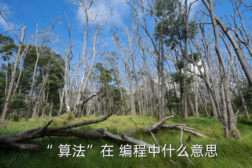 “ 算法”在 編程中什么意思