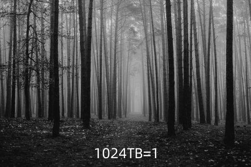 1024TB=1