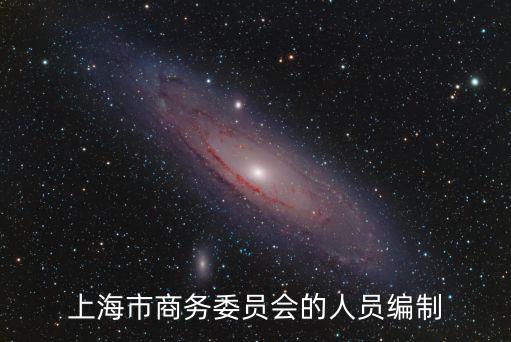 上海市商業委員會1996年文件，上海市商務委員會的人員編制