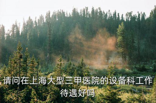 請(qǐng)問在上海大型三甲醫(yī)院的設(shè)備科工作待遇好嗎