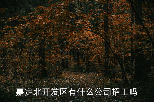 嘉定北開發(fā)區(qū)有什么公司招工嗎