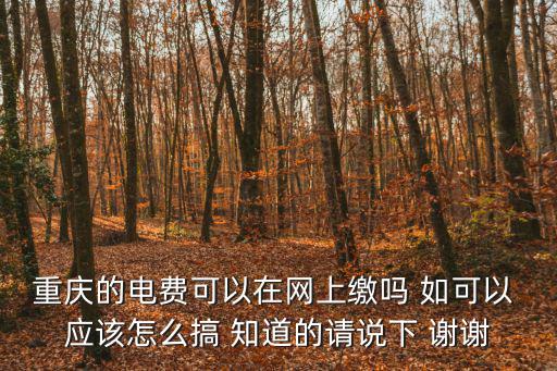 國網(wǎng)重慶市電力公司電費交費，重慶電費繳費