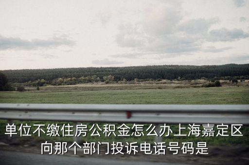 上海市嘉定區(qū)城鄉(xiāng)住房建設(shè)局電話，上海市住房和城鄉(xiāng)建設(shè)委員會(huì)在家什么地方