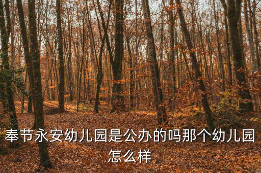 奉節(jié)永安幼兒園是公辦的嗎那個幼兒園怎么樣