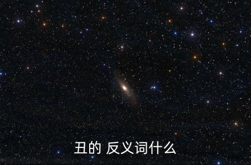 丑的 反義詞什么