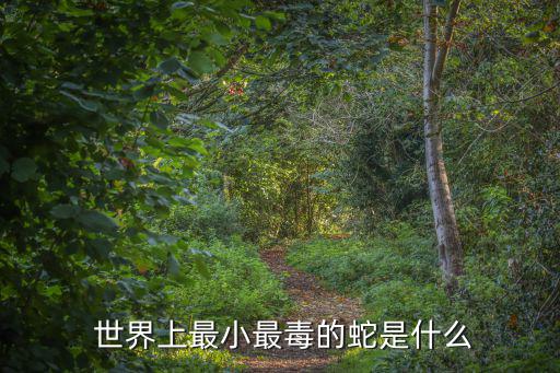  世界上最小最毒的蛇是什么