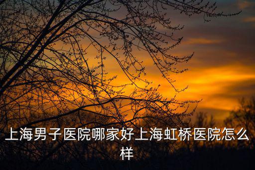 上海男子醫院哪家好上海虹橋醫院怎么樣