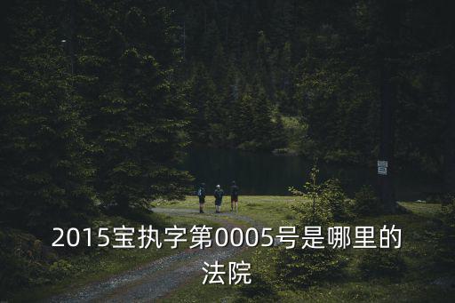 2015寶執字第0005號是哪里的法院