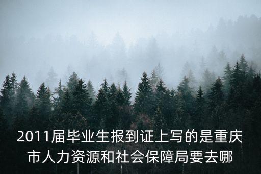 2011屆畢業生報到證上寫的是重慶市人力資源和社會保障局要去哪