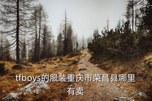 重慶市榮昌區上尚服裝，tfboys的服裝重慶市榮昌縣哪里有賣