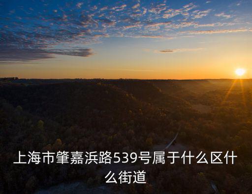 上海市嘉浜路是哪個區，上海市肇嘉浜路539號屬于什么區什么街道