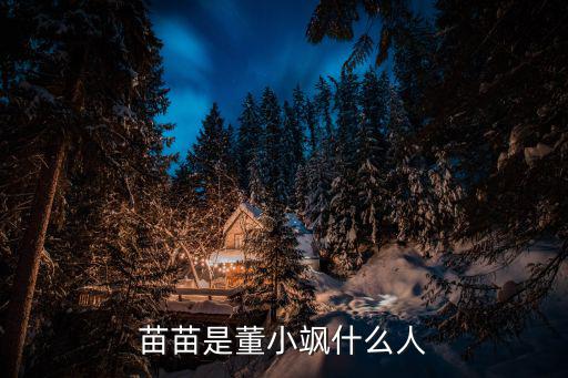 網(wǎng)紅苗苗個(gè)人資料簡(jiǎn)介，網(wǎng)絡(luò)紅人HERA苗苗