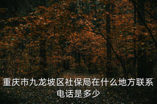 重慶市九龍坡區社保局在什么地方聯系電話是多少