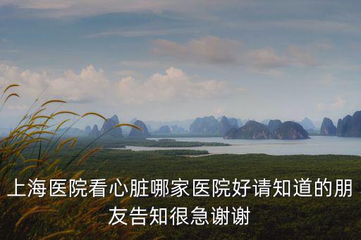 上海醫院看心臟哪家醫院好請知道的朋友告知很急謝謝