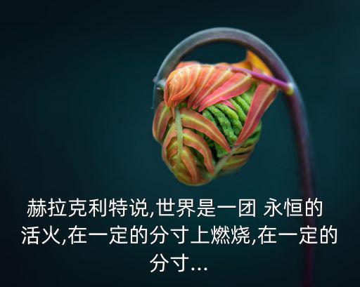 赫拉克利特說,世界是一團 永恒的 活火,在一定的分寸上燃燒,在一定的分寸...