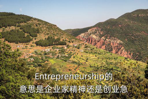 Entrepreneurship的意思是企業家精神還是創業急