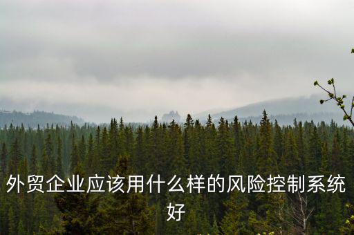 外貿企業應該用什么樣的風險控制系統好